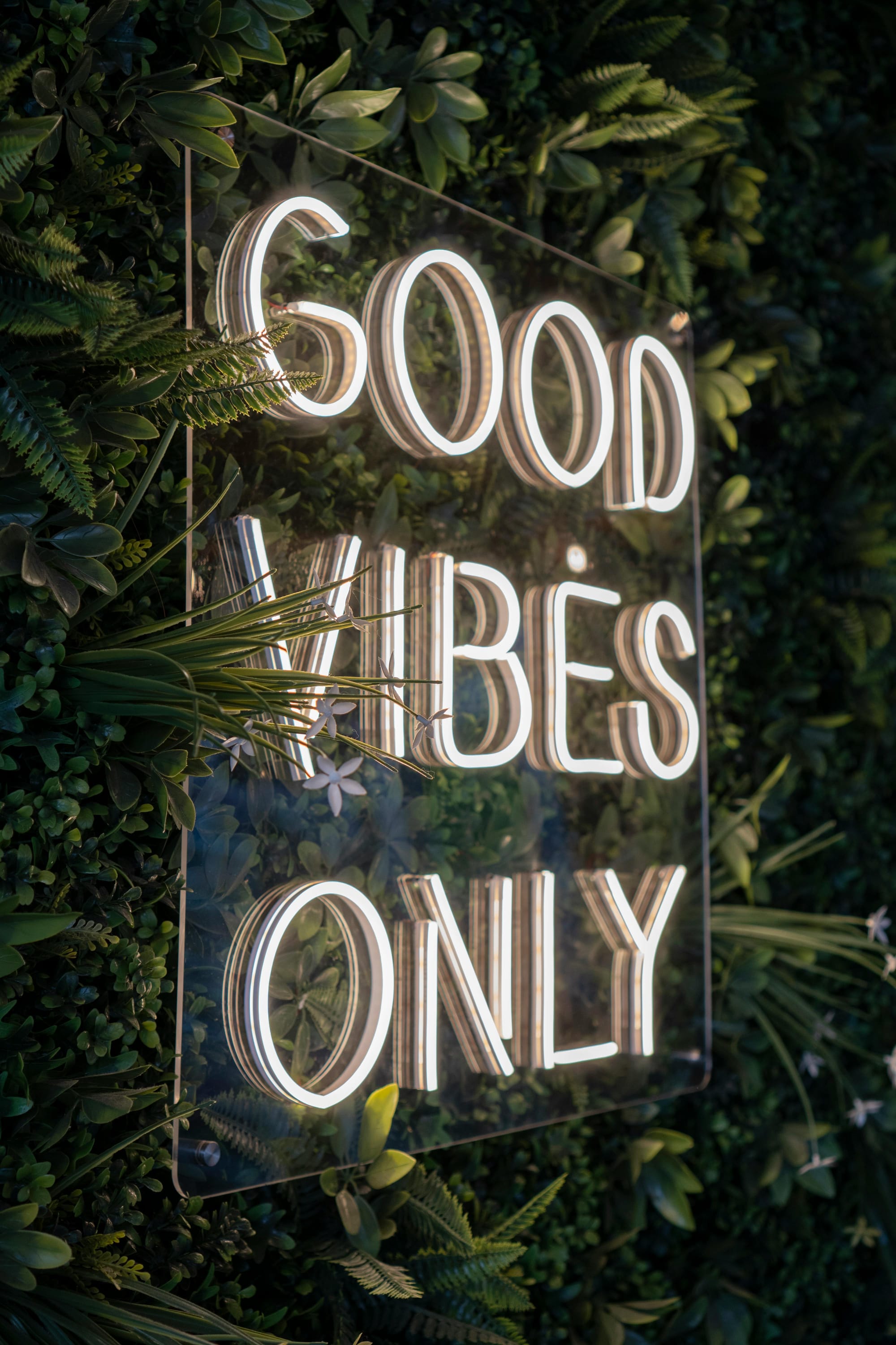 Neon sign reads Good Vibes Only against fake plant background Photo by Paul Seling