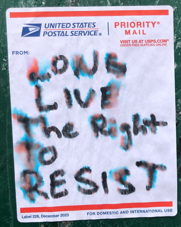 right to resist