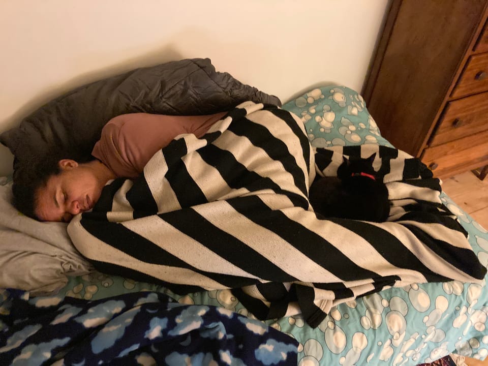the author napping with cat among piles of pillows and blankets
