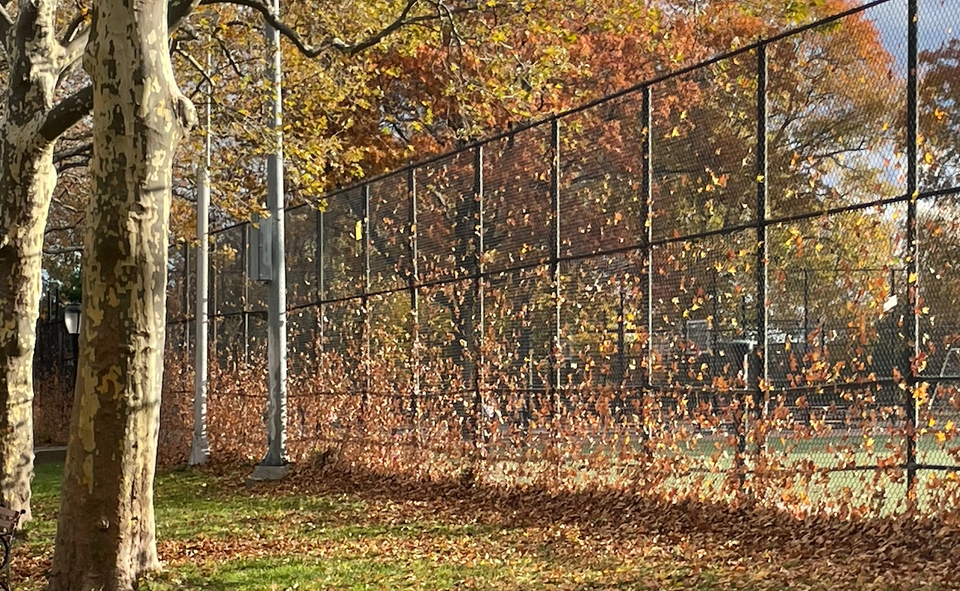 autumn leaves blown across a tall chainlink fence: browns, greens, yellows