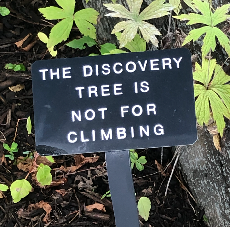 sign text reads: the discovery tree is not for climbing